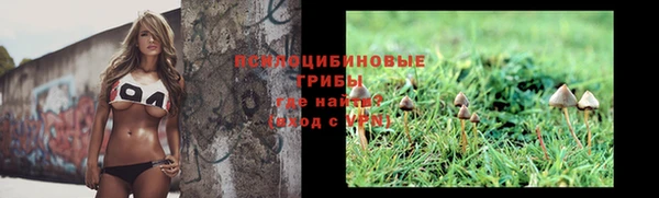 спайс Баксан
