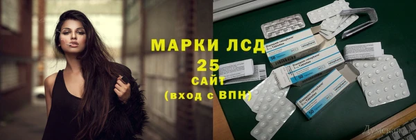 спайс Баксан