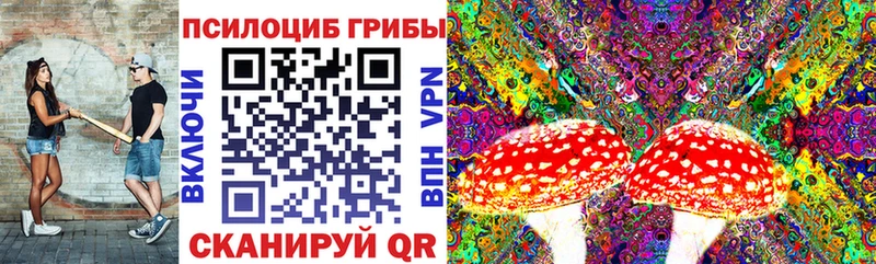 Псилоцибиновые грибы мухоморы  цены   Чернушка 